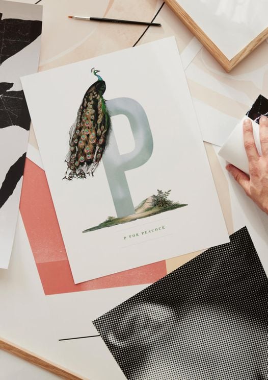 P For Peacock