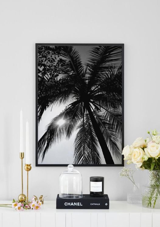 Palm And Sun