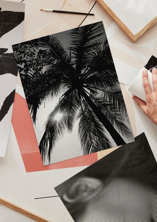 Palm And Sun
