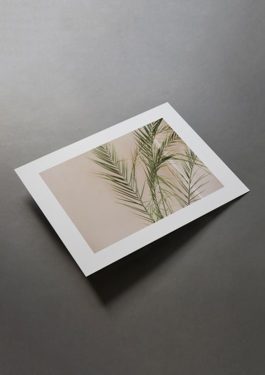 Palm Gold