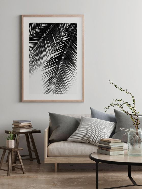 Palm Graphic