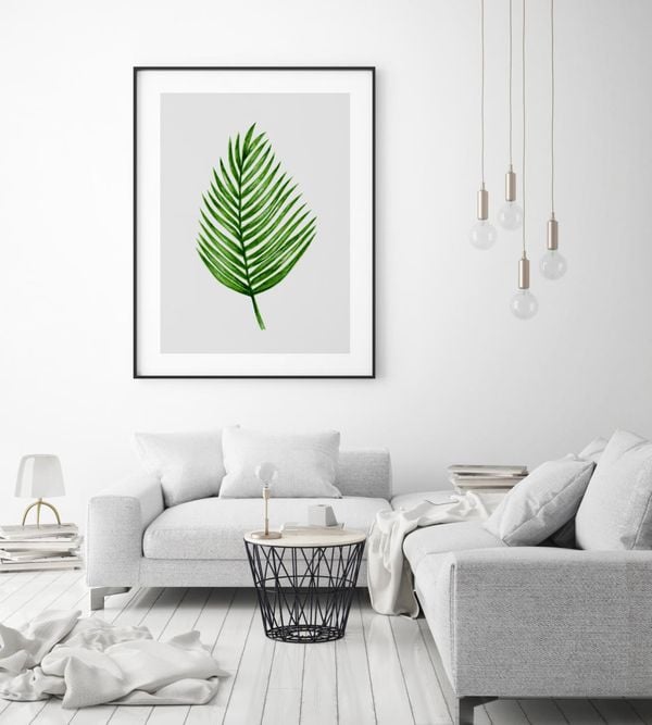 Palm Leaf Illustration