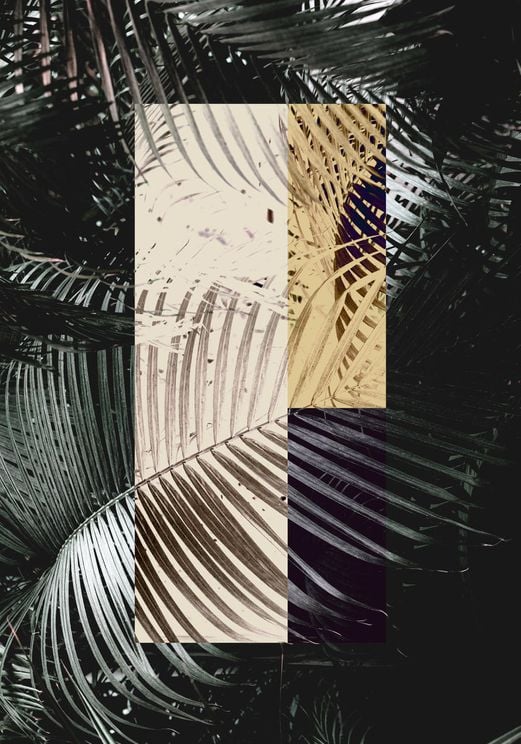 Palm Reactor