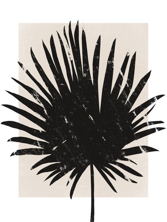 Palm Screen
