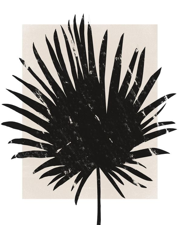 Palm Screen