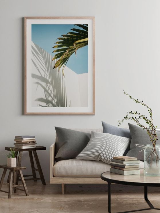 Palm Shadow Wall