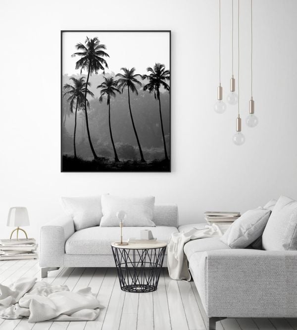 Palm Trees