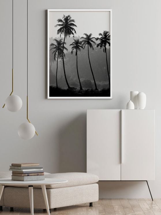 Palm Trees