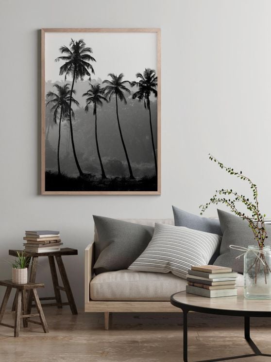 Palm Trees