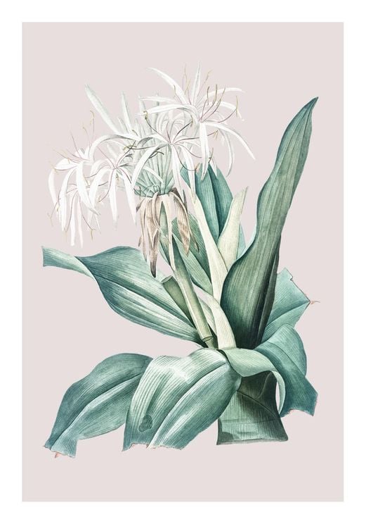 Pastel Botanic 2