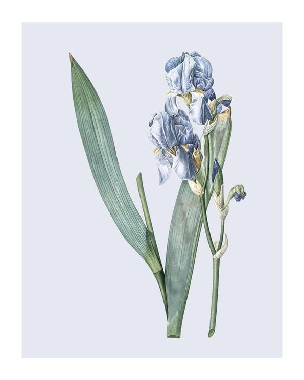 Pastel Botanic 3