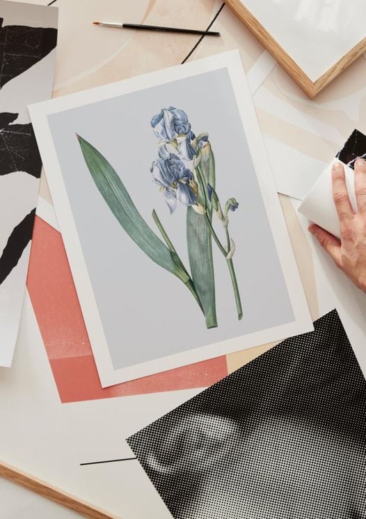 Pastel Botanic 3