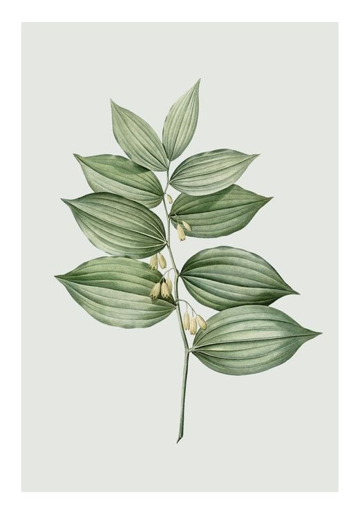 Pastel Botanic 4