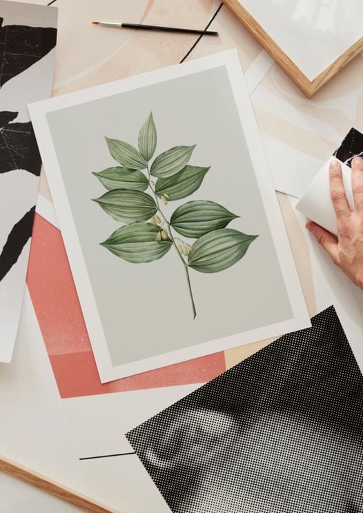 Pastel Botanic 4