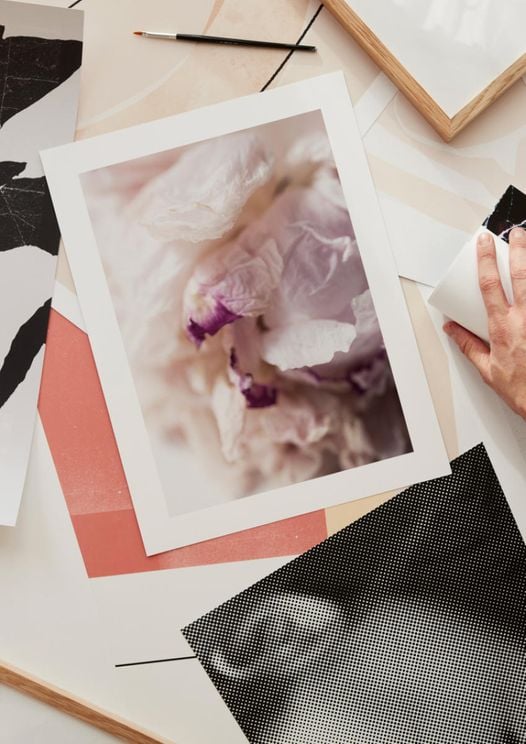 Peony Abstract
