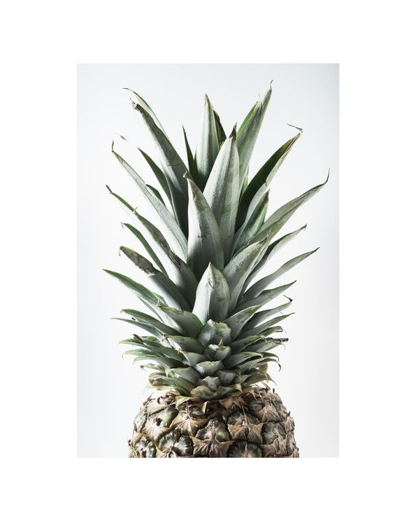 Pineapple Photo