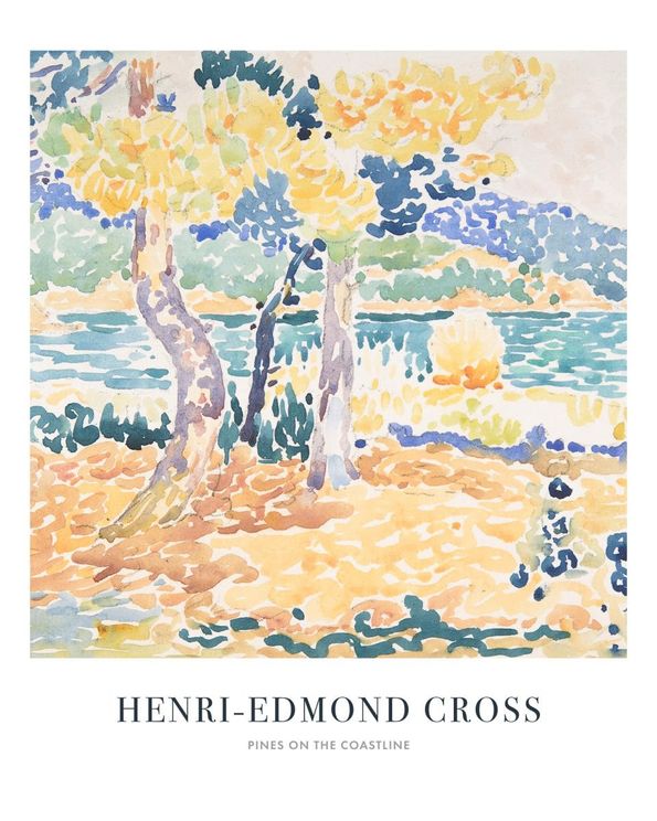 Pines On The Coastline