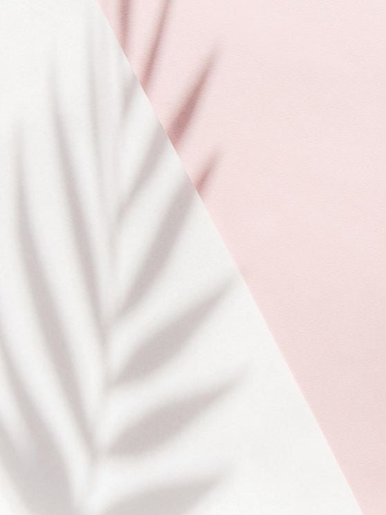 Pink Palm Shadow