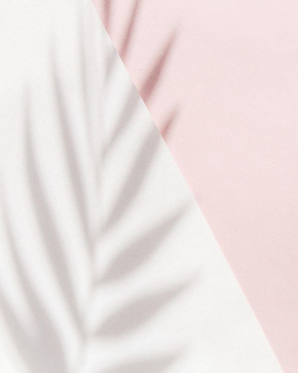 Pink Palm Shadow