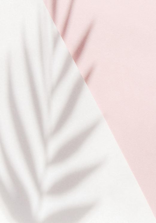 Pink Palm Shadow