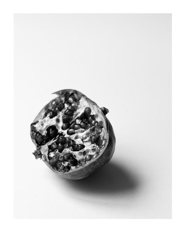 Pomegranate Study 1