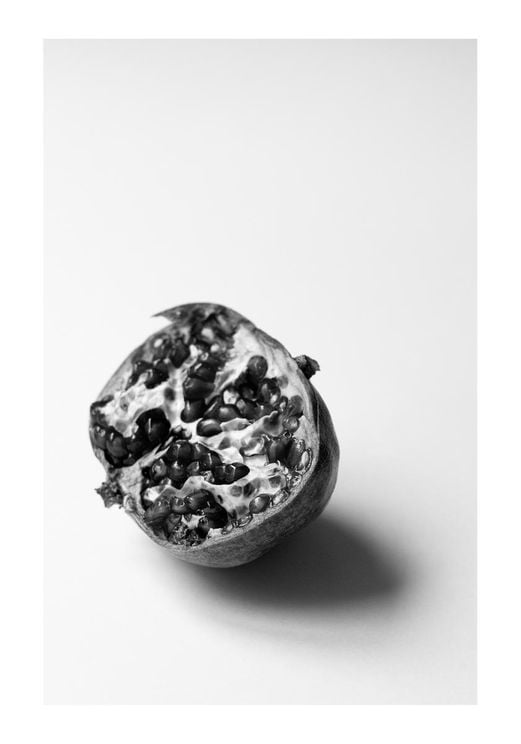 Pomegranate Study 1