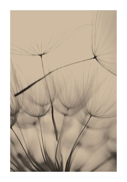 Inverted Dandelion
