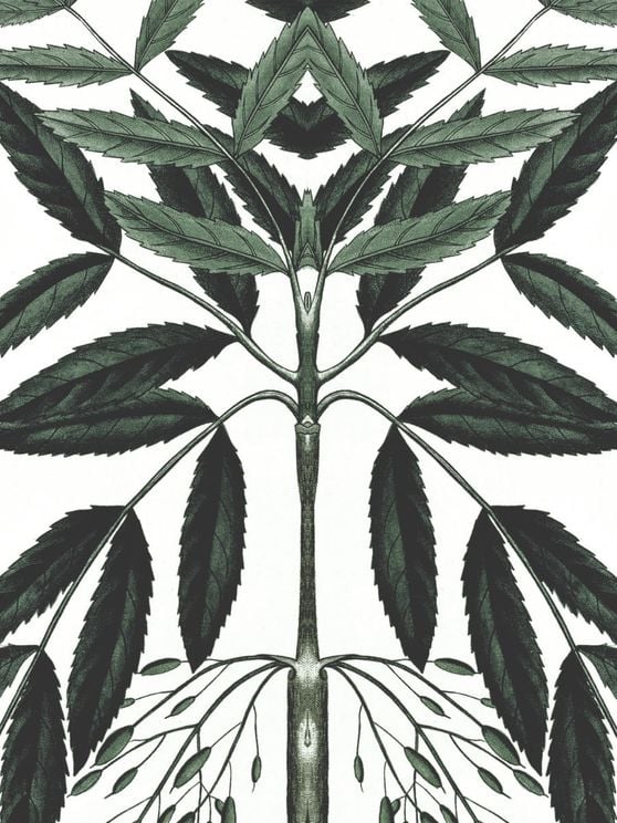 Refurnished Vintage Herb Reflection