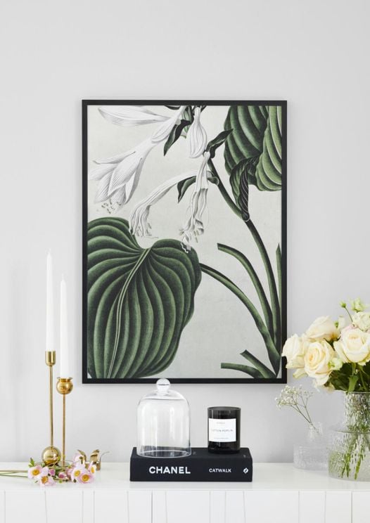 Refurnished Vintage Plant