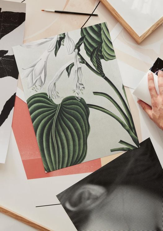 Refurnished Vintage Plant