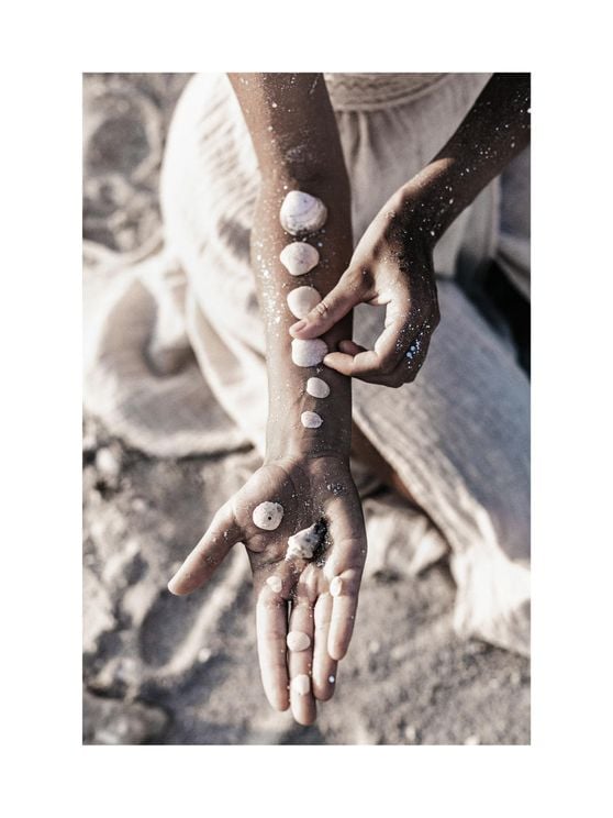Shells