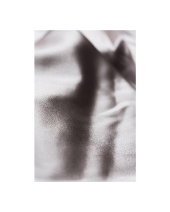 Silk 1