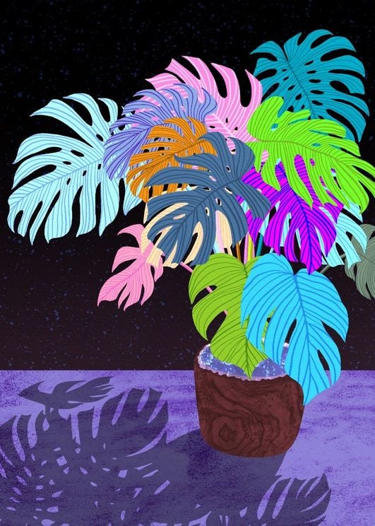 Space Monstera