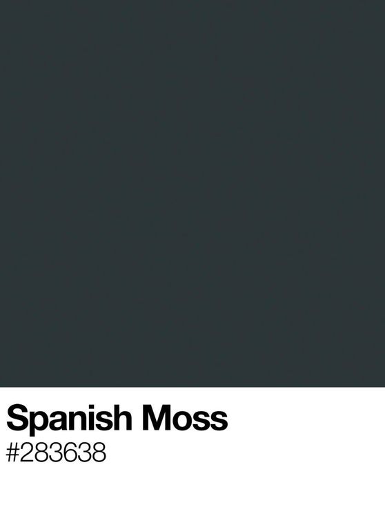 Spanish Moss