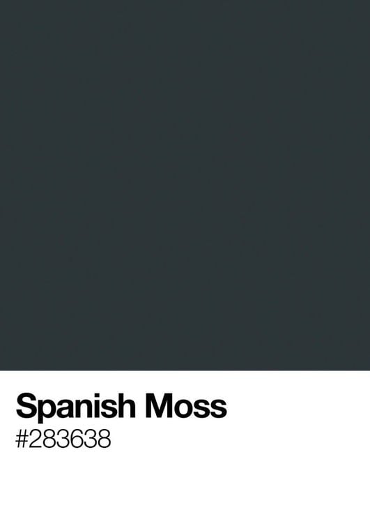 Spanish Moss