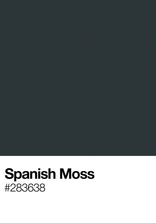 Spanish Moss