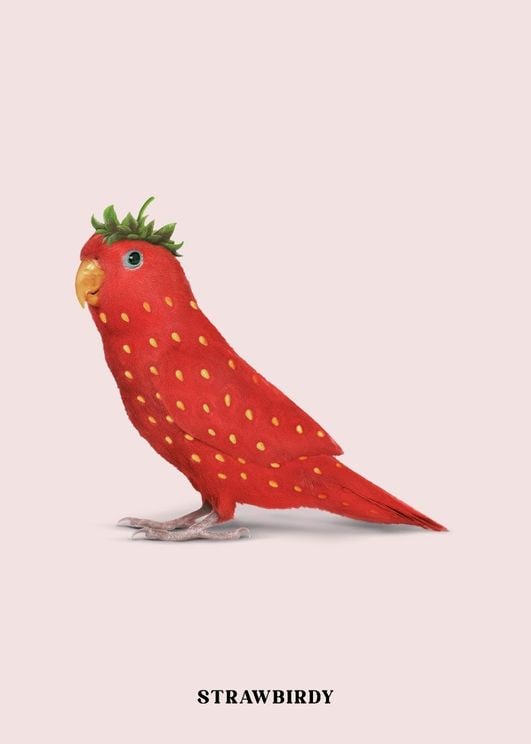 Strawbirdy