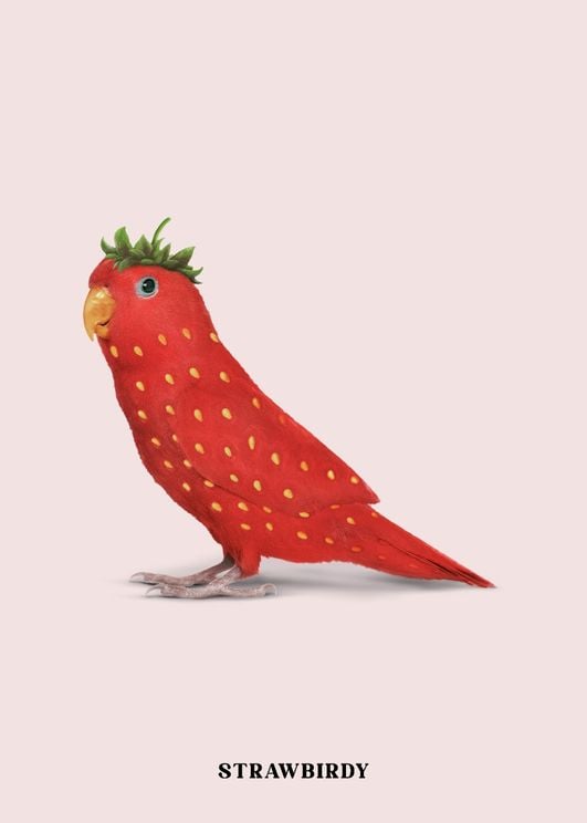 Strawbirdy