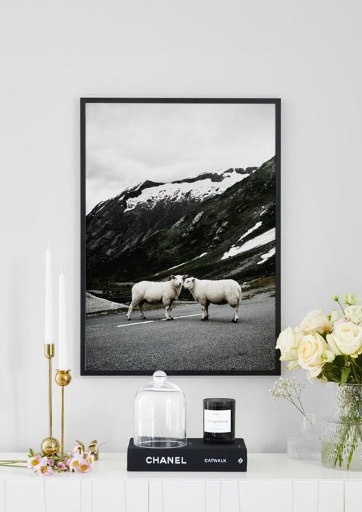 Stray Sheep