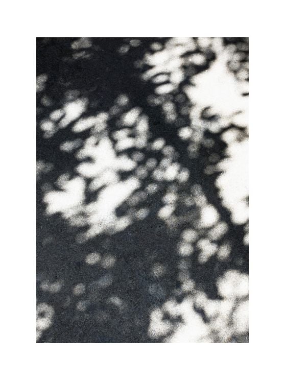 Sun Shadow