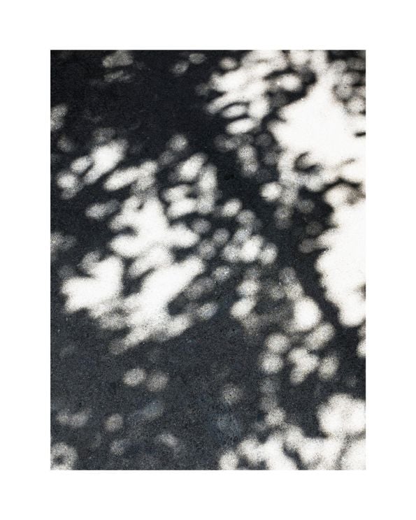 Sun Shadow