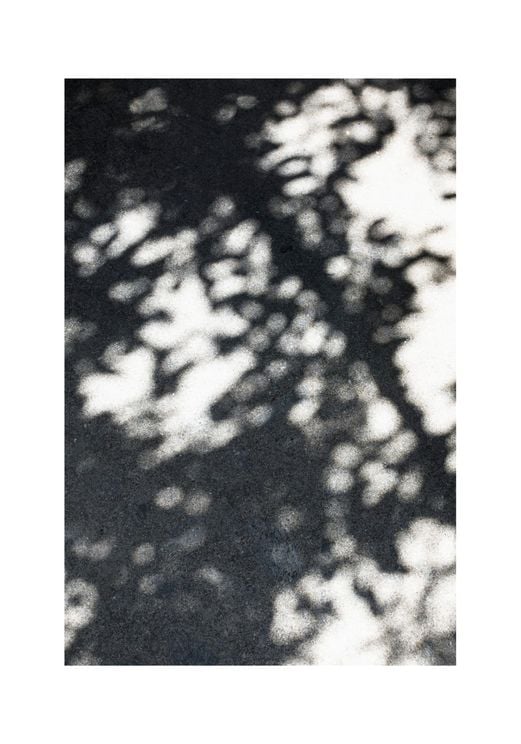 Sun Shadow