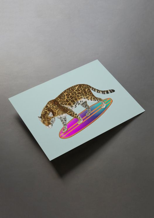 Surf Tiger