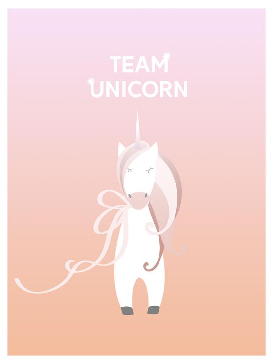 Team Unicorn