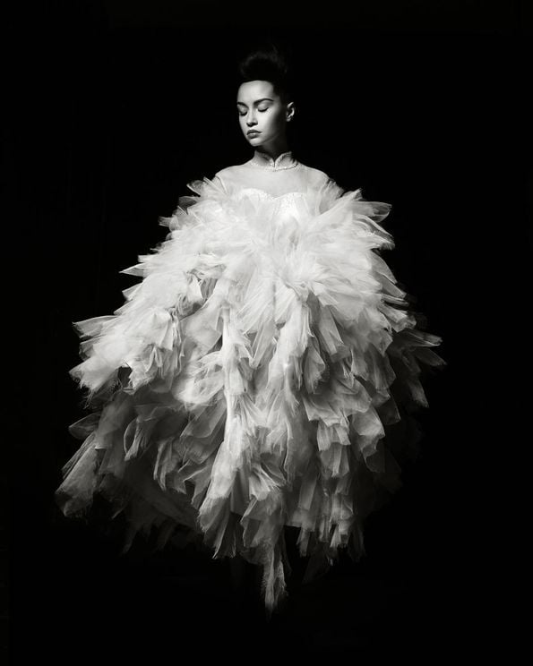 The Dress