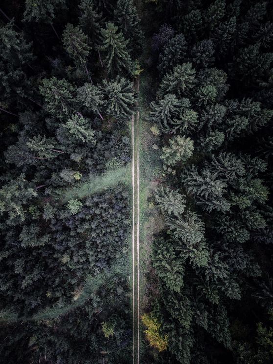 The Road Not Taken