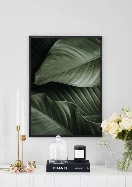 Thick Leaves