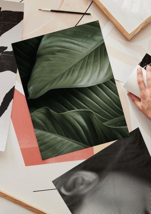 Thick Leaves