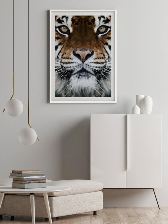 Tiger Front
