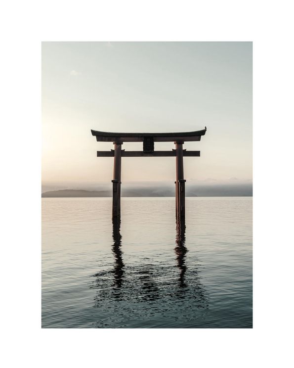 Torii Gate